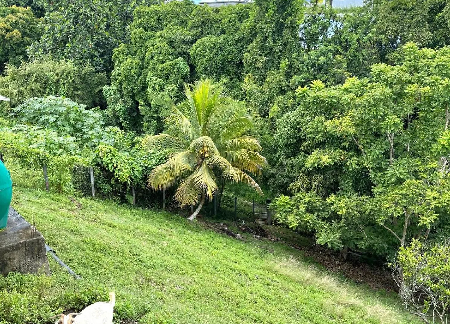 Le Petit Nid De Maudette - Proche Plage Caravelle Sainte-Anne  0*, Sainte-Anne (Grande-Terre)