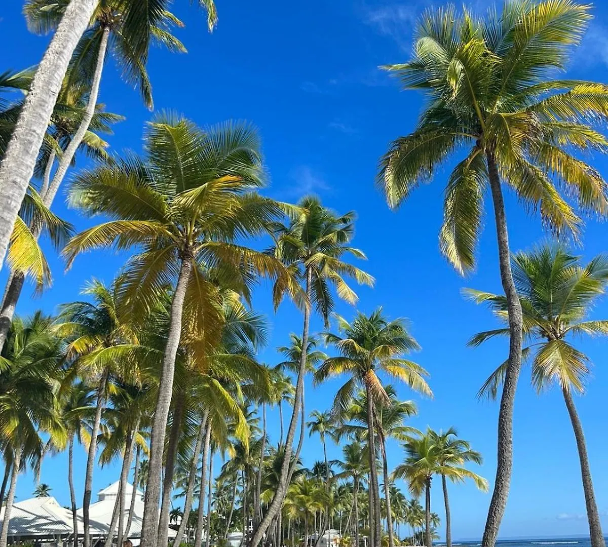 Le Petit Nid De Maudette - Proche Plage Caravelle Sainte-Anne  Guadeloupe